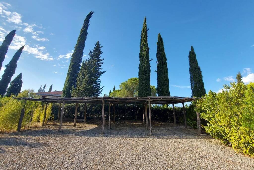 Il Paretaietto Apartment Certaldo Exterior photo