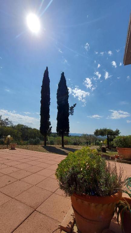 Il Paretaietto Apartment Certaldo Exterior photo